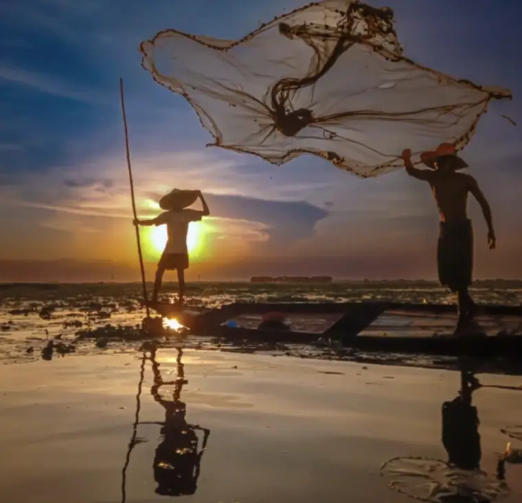 Motion winner, Season 3