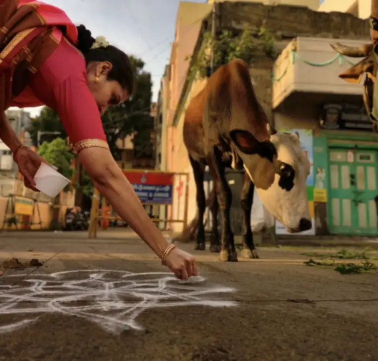 Street winner, Season 3